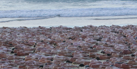 Αυστραλία: 2.500 άνθρωποι πόζαραν γυμνοί για τον καρκίνο του δέρματος