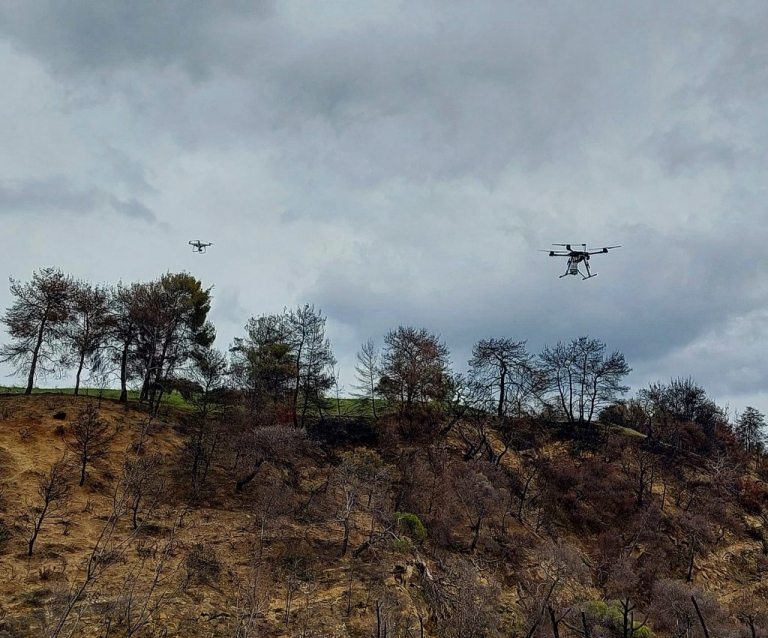 Γεράνεια Όρη: Αναδάσωση με drone για πρώτη φορά στην Ελλάδα – Θα πετύχει | tovima.gr