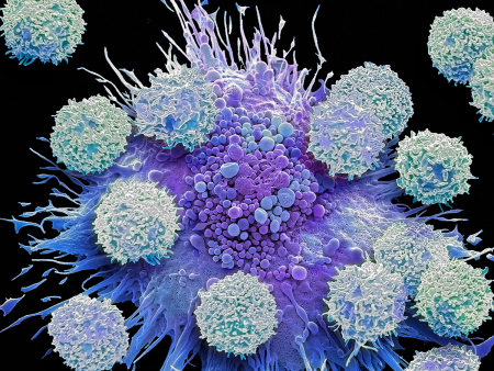 Δεν υπάρχει χρέος ανοσίας!