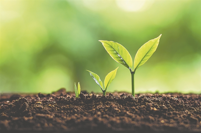 Θεσμοί, κίνητρα και ανάπτυξη