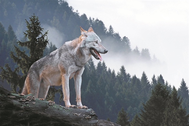 Να μιλάμε στα δύσκολα