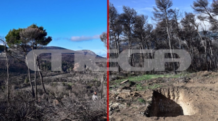 Πώς το Τατόι άλλαξε όψη μέσα σε δύο μέρες – Αποκαλυπτικές εικόνες από drone
