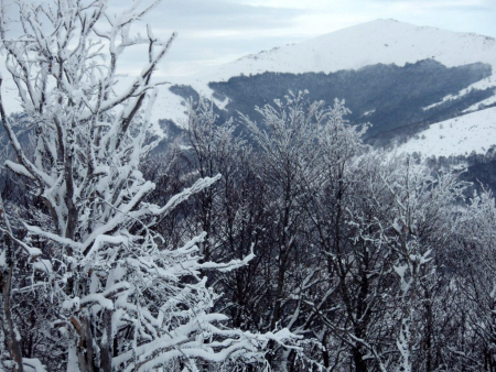Καιρός: Για τσουχτερό κρύο και χιόνια προειδοποιεί ο Σάκης Αρναούτογλου