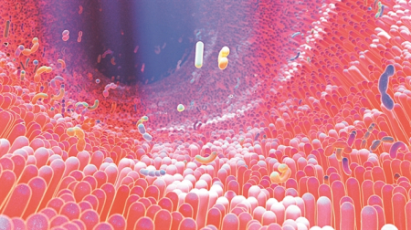 Πώς μεταδίδεται το μικροβίωμα