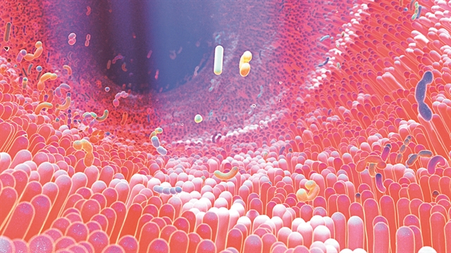 Πώς μεταδίδεται το μικροβίωμα