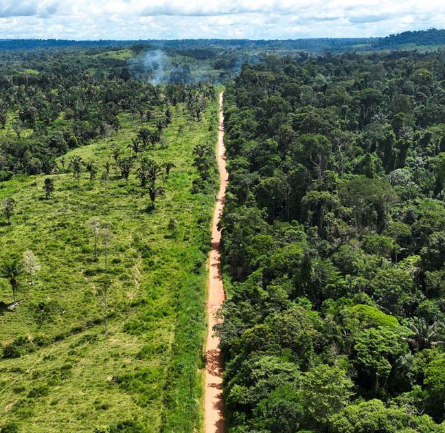 Το τέλος του Αμαζονίου