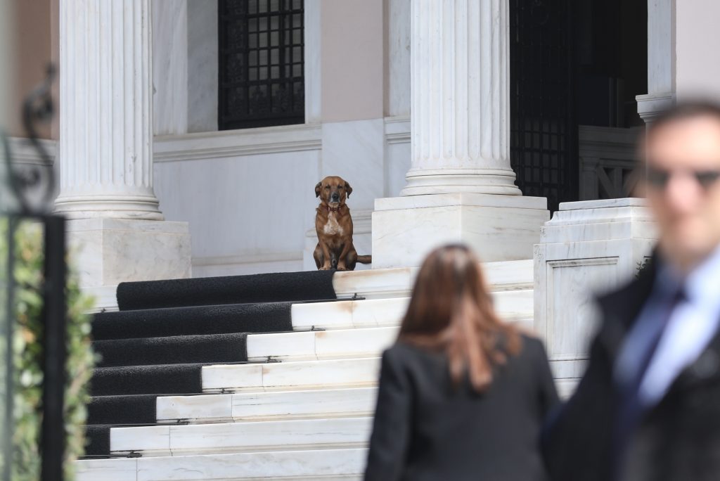 Ο Πίνατ, «άγνωστος Χ» και η παιδική χαρά των υποψηφίων