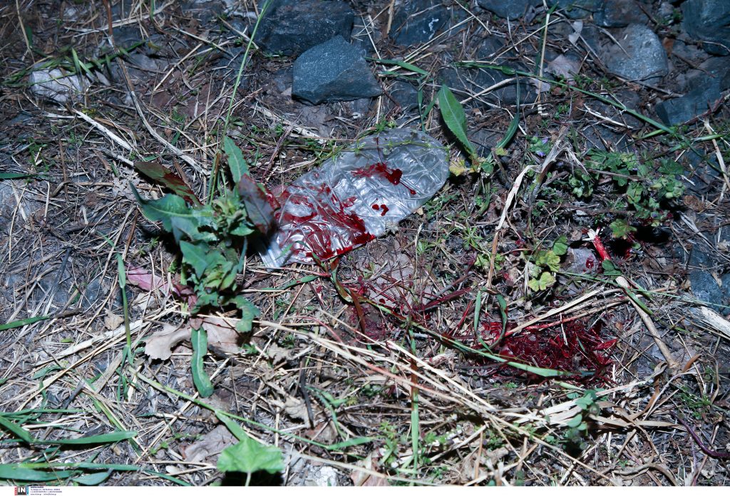 Ταύρος: Διασωληνωμένος ο 17χρονος που παρασύρθηκε από τον Προαστιακό – Πώς συνέβη το ατύχημα