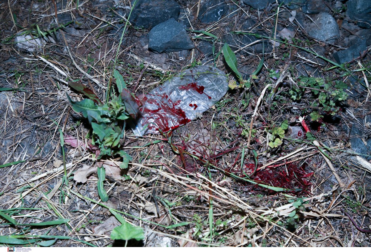 Ταύρος: Διασωληνωμένος ο 17χρονος που παρασύρθηκε από τον Προαστιακό – Πώς συνέβη το ατύχημα