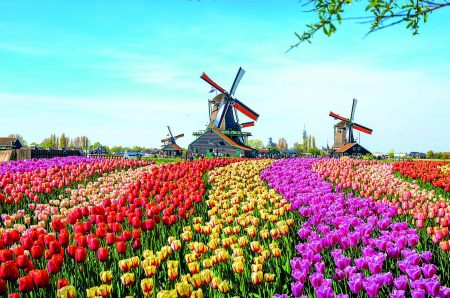 Ανθισμένα ταξίδια