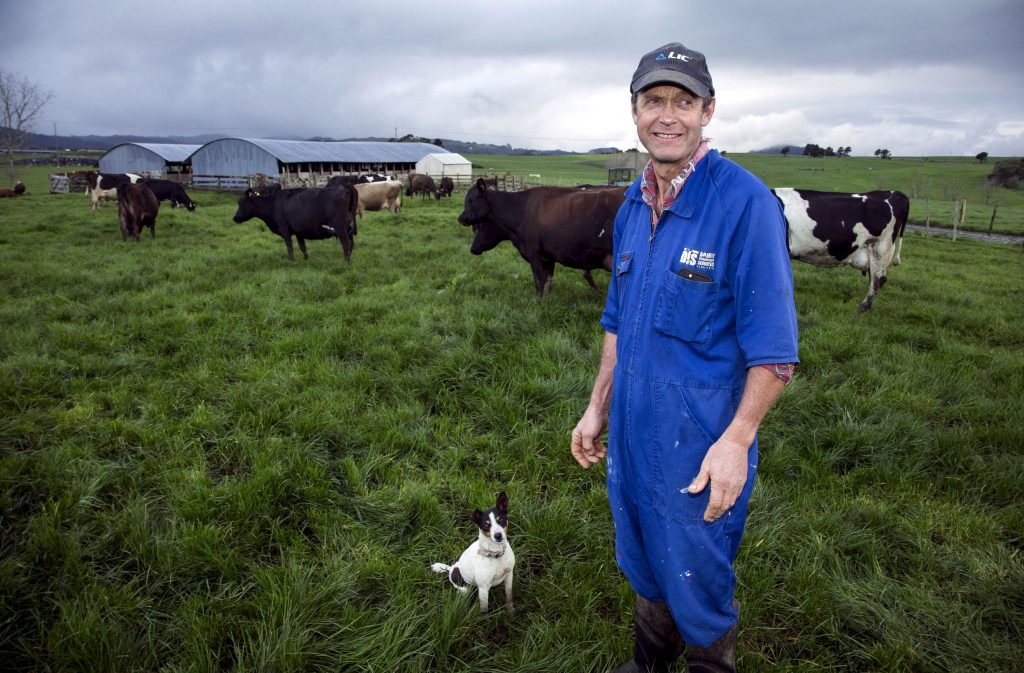 Οι Ολλανδοί κάνουν περικοπές στο άζωτο με κάθε τρόπο