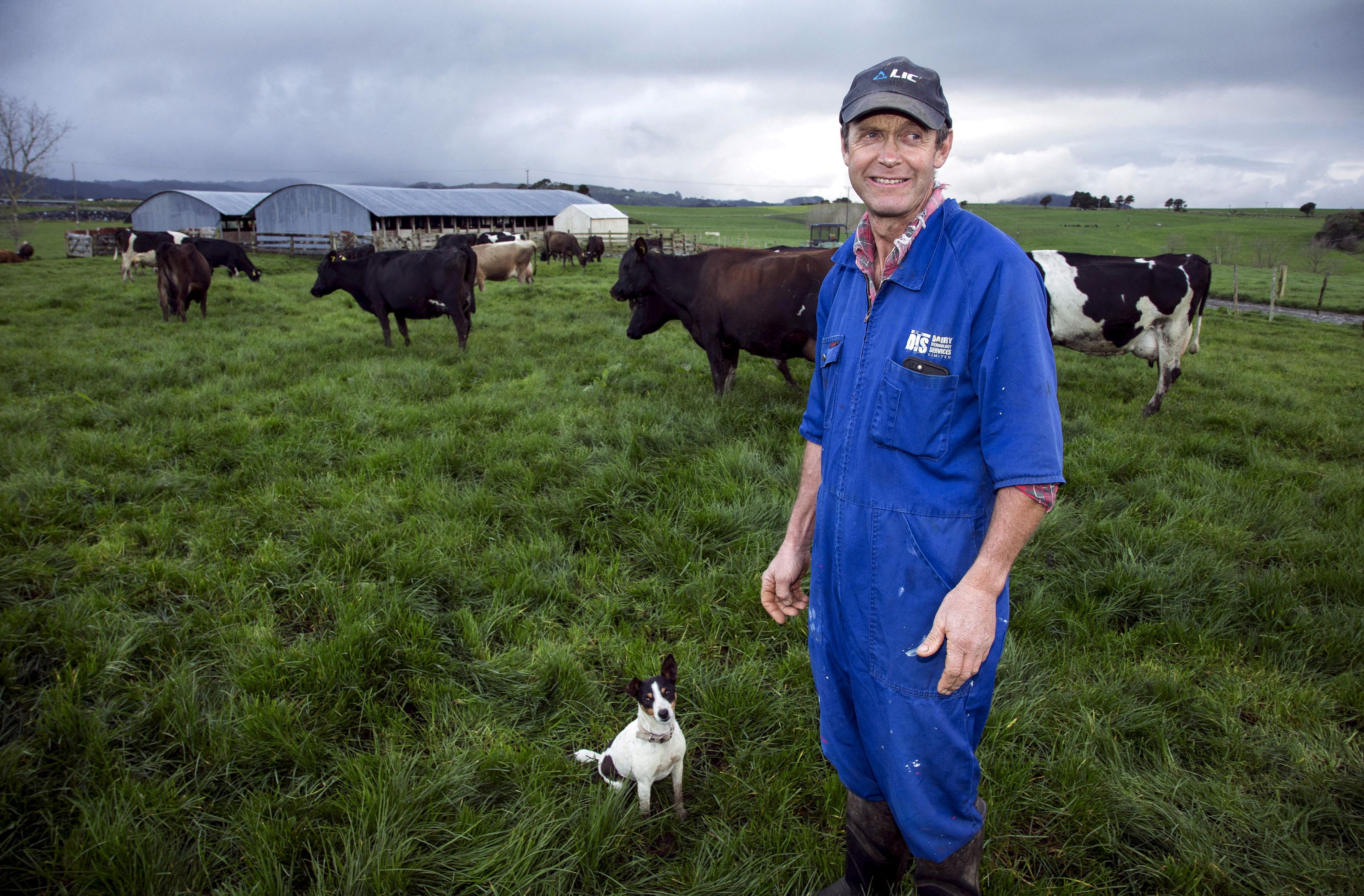 Οι Ολλανδοί κάνουν περικοπές στο άζωτο με κάθε τρόπο