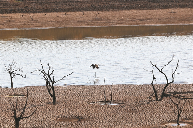 Καύσωνες και ξηρασία βάζουν φωτιά στις τιμές