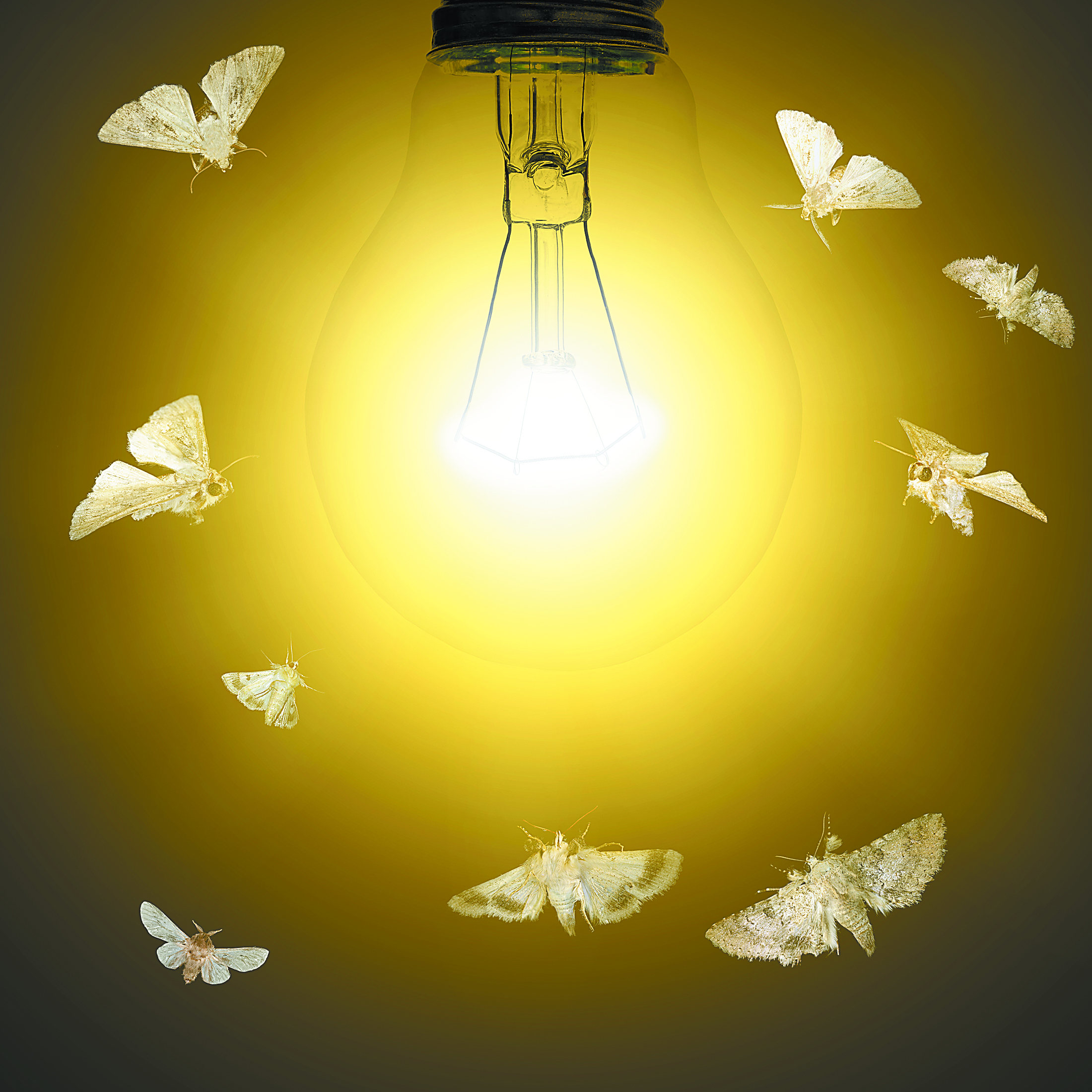 Η έλξη των εντόμων από το φως, τα μυστικά της γυναικείας φύσης και τα «σπλάχνα» του πλανήτη Αρη