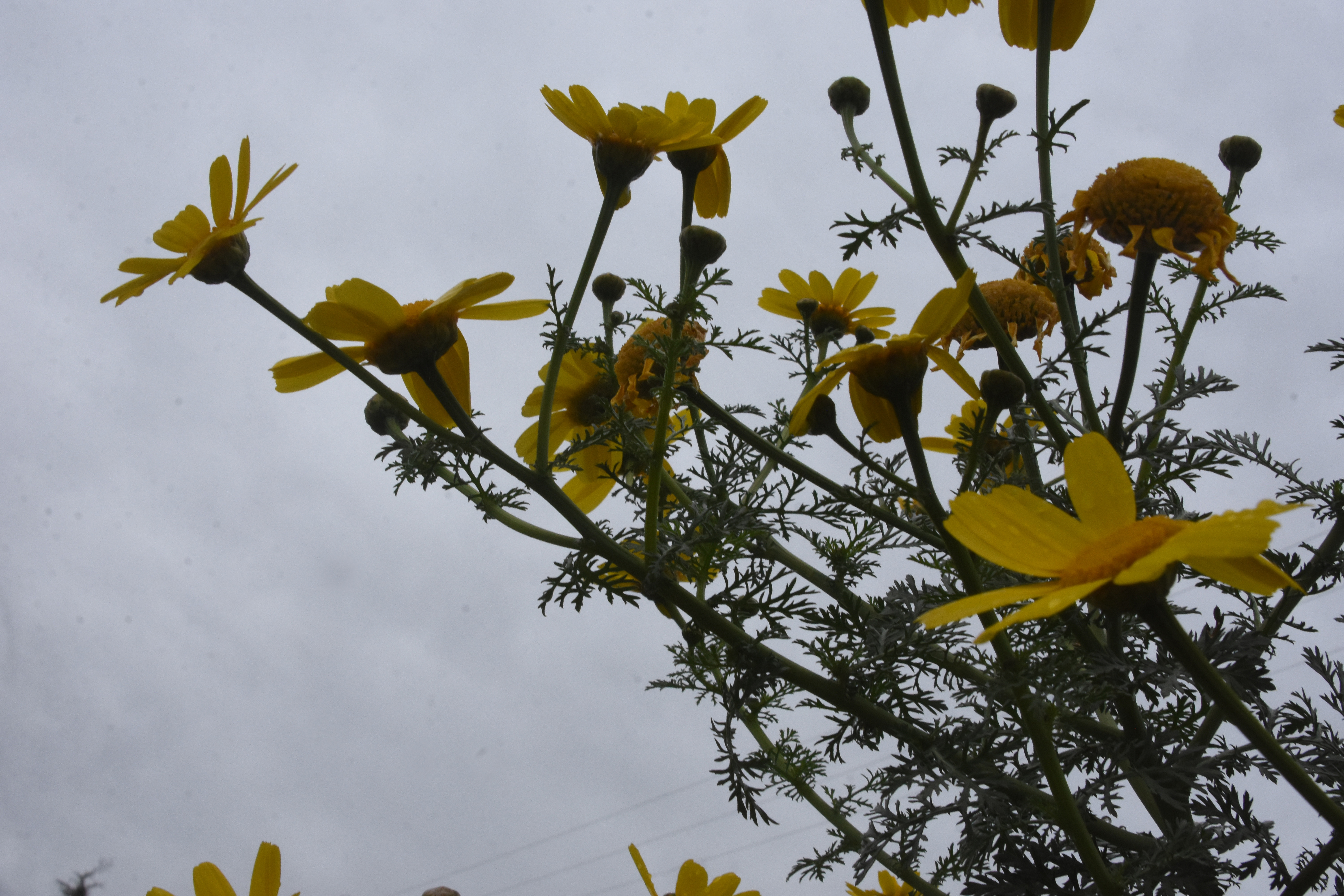 Καιρός: Πρωτομαγιά με βροχές και καταιγίδες – Οι περιοχές που επηρεάζονται