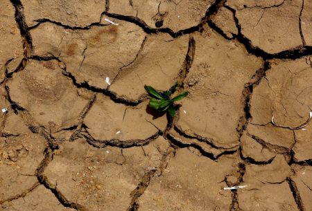 Ζερεφός: Κίνδυνος ξηρασίας για Λάρισα και Λακωνία