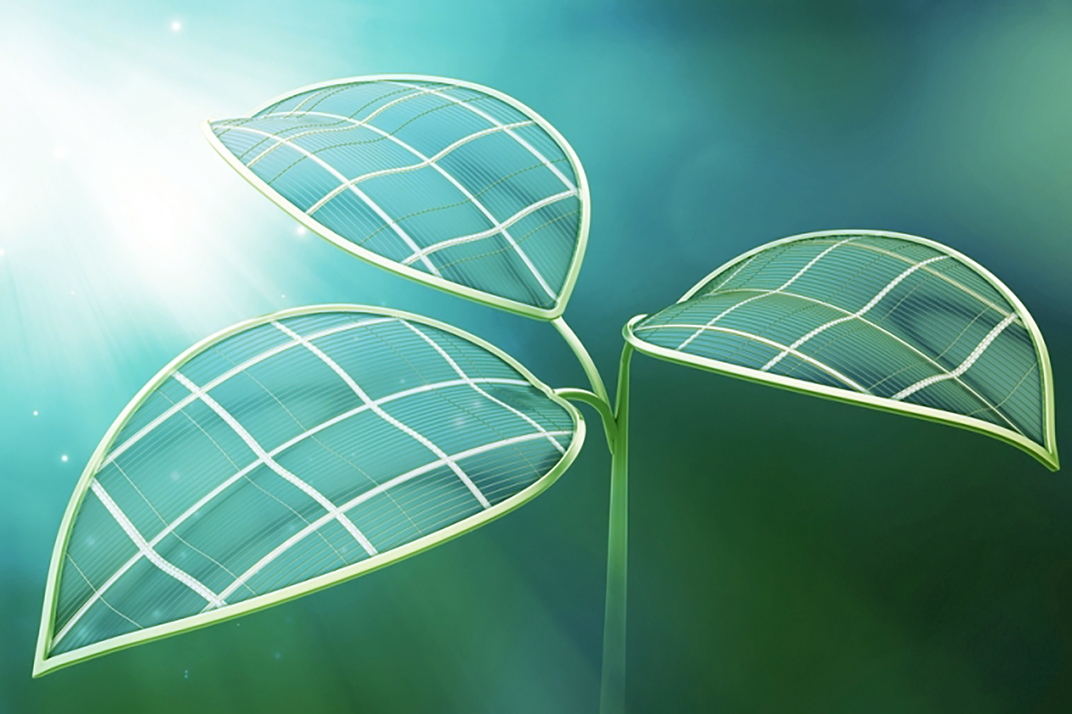 ΔΕΗ myEnergySolarNet: Ολοκληρωμένες λύσεις για φωτοβολταϊκά στη στέγη από τη ΔΕΗ