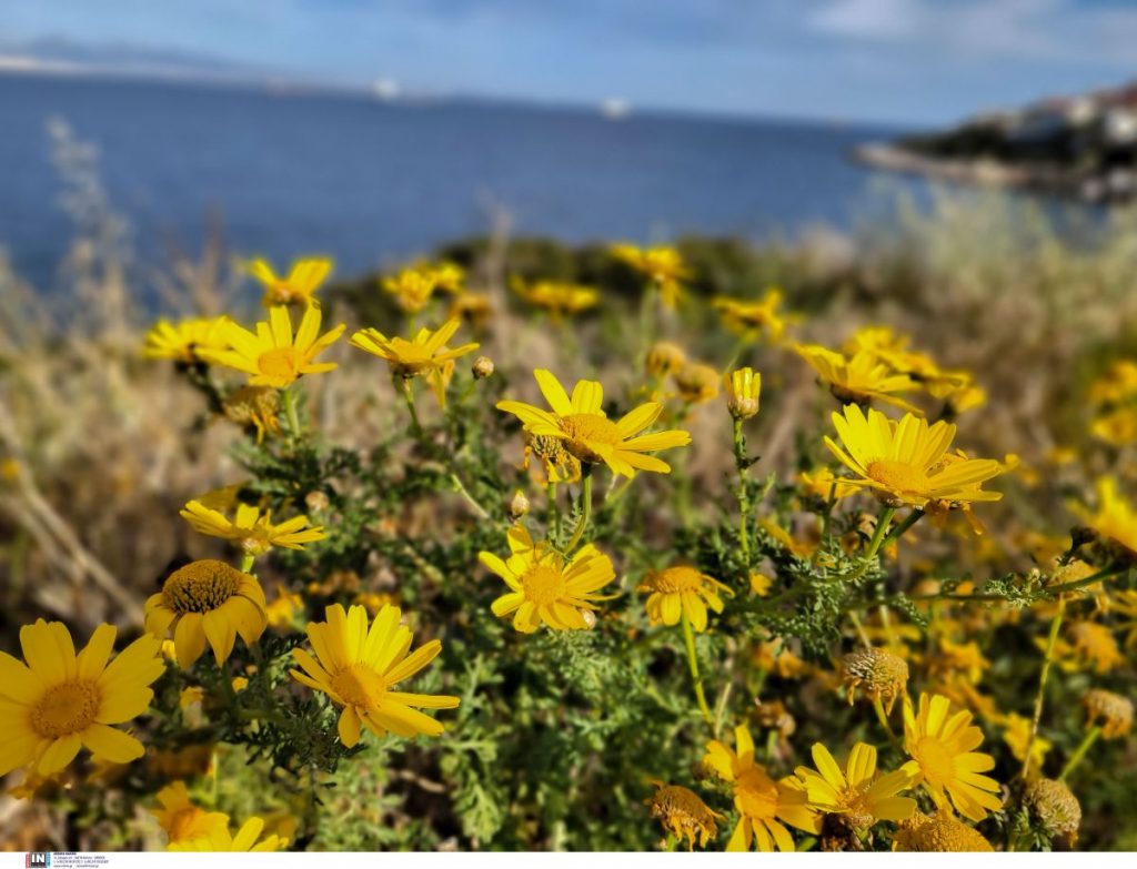 Καιρός: Υψηλές θερμοκρασίες σήμερα, πτώση και βροχές από αύριο