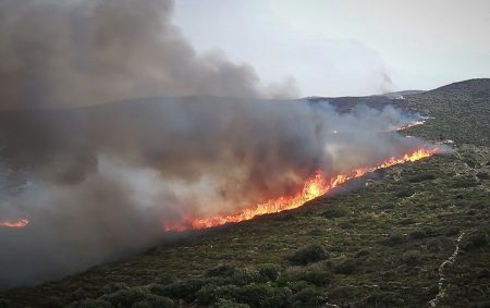 Ρόδος: Πυρκαγιά κοντά σε δασική έκταση