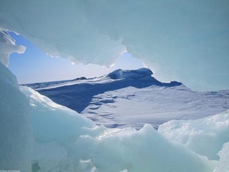 Αρκτική:  «Απερισκεψία οι έρευνες πετρελαίου και φυσικού αερίου»