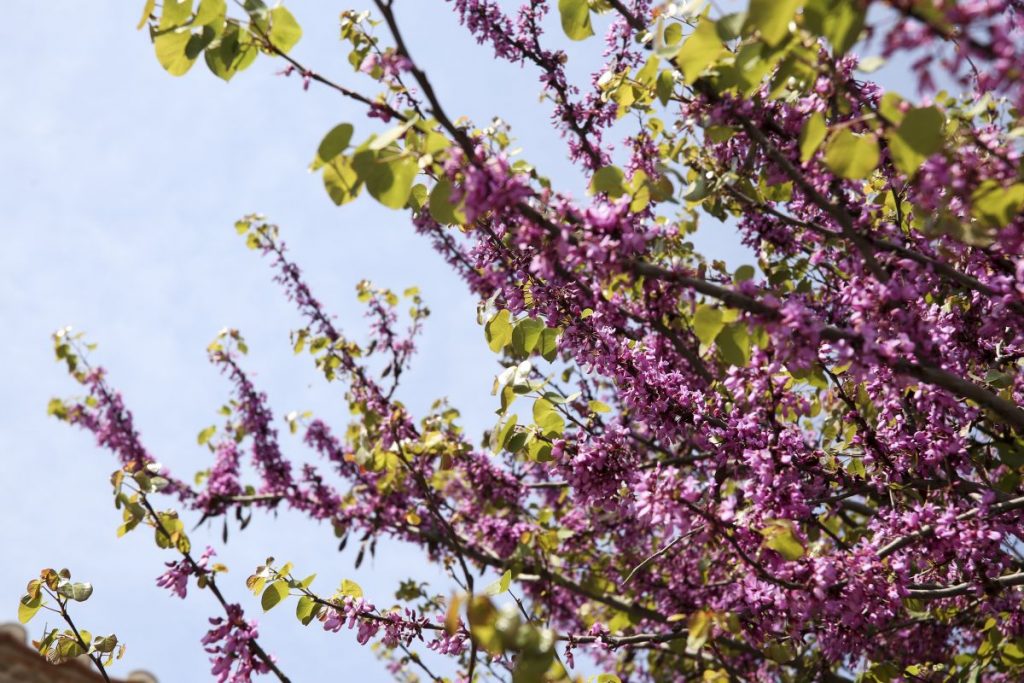 Καιρός: Αστάθεια από το μεσημέρι – Η πρόβλεψη της Χριστίνας Ρήγου