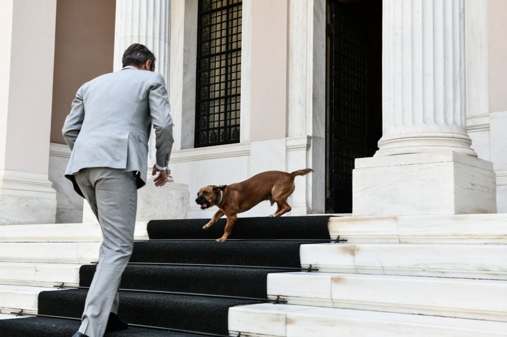 O Peanut  και οι φιλόζωες κυρίες του Μεγάρου Μαξίμου