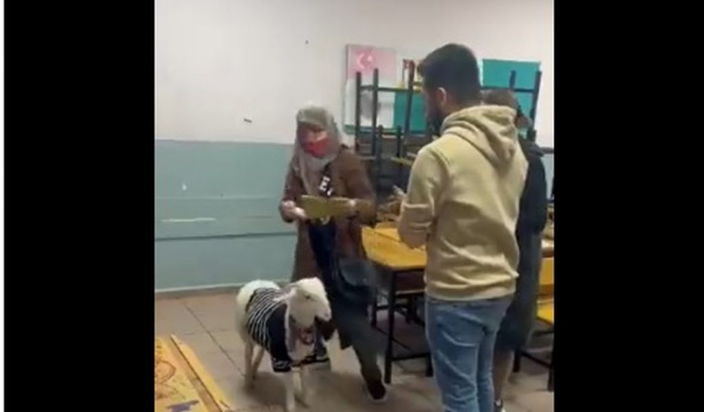 Τουρκία: Τα ευτράπελα των εκλογών –  Με το αρνί και το νυφικό στην κάλπη