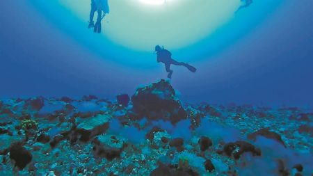 Πόσο διαρκεί η «σιωπή» του Κολούμπο