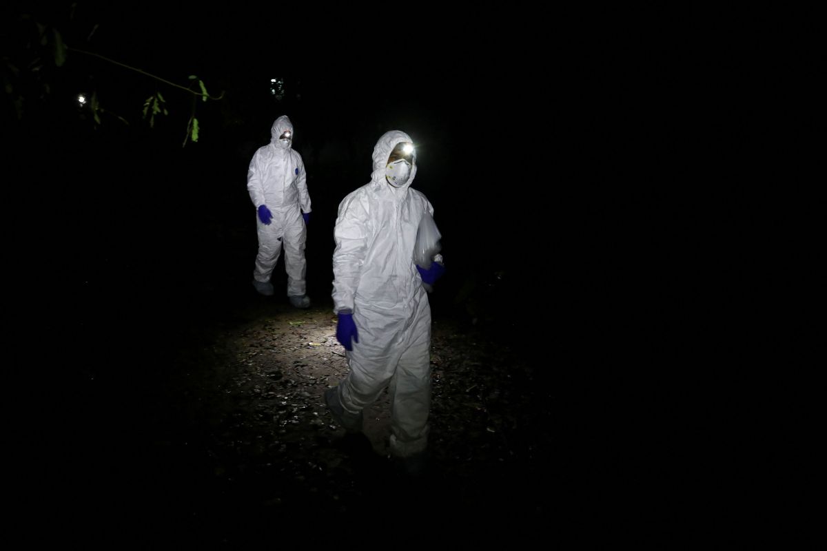 Νόσος Χ – Μαγιορκίνης : Σαν να περιμένουμε ένα μεγάλο σεισμό