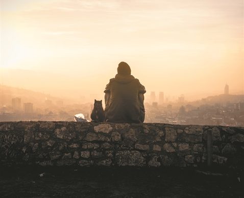 Η αρχιτεκτονική μετά την κρίση