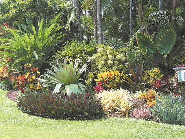 Τροπικός παράδεισος στο mansion της Μυκόνου;