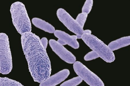 Οι μικροβιακές λοιμώξεις πολιορκούν τα νοσοκομεία