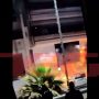 Αλιμος: Μεγάλη φωτιά σε κατάστημα στη Λεωφ. Ποσειδώνος – Η στιγμή του εμπρησμού