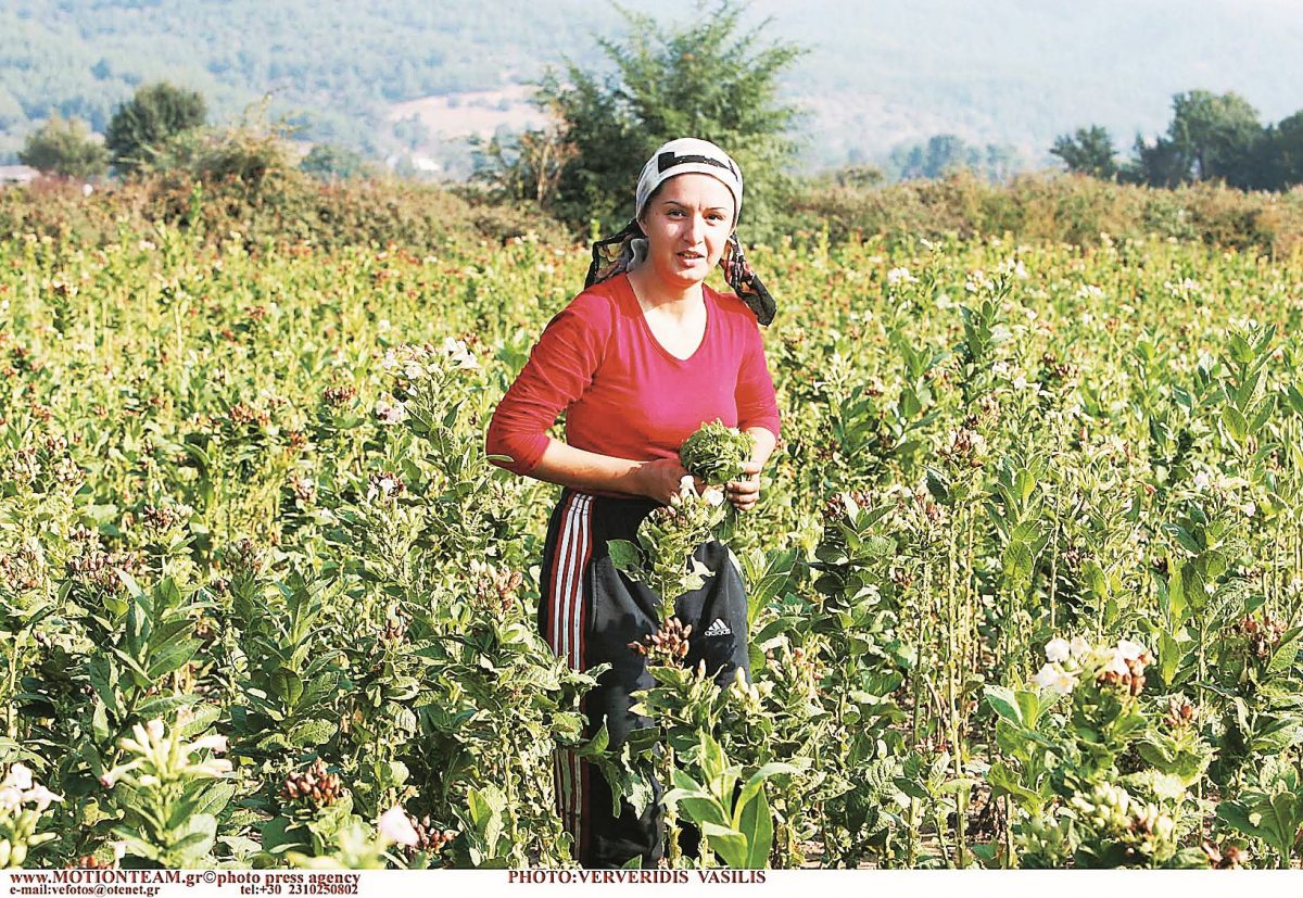 Η Ροδόπη χρειάζεται το ελληνικό κράτος, όχι το τουρκικό προξενείο