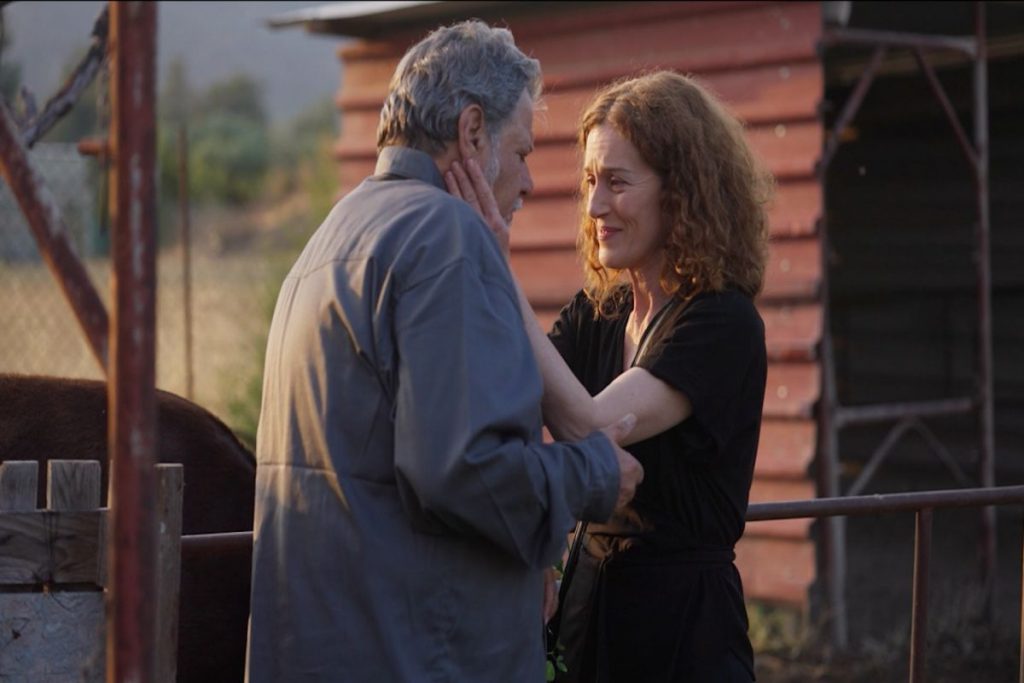 Η Γη της Ελιάς: Τι θα δούμε στα επεισόδια της εβδομάδας