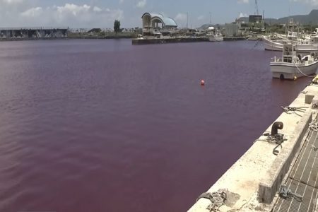 Ιαπωνία: Γιατί έγινε κόκκινη η θάλασσα