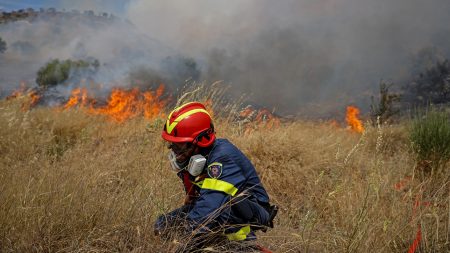 Πυροσβεστική: 50 δασικές πυρκαγιές το τελευταίο 24ωρο – Πολύ υψηλός κίνδυνος τη Δευτέρα