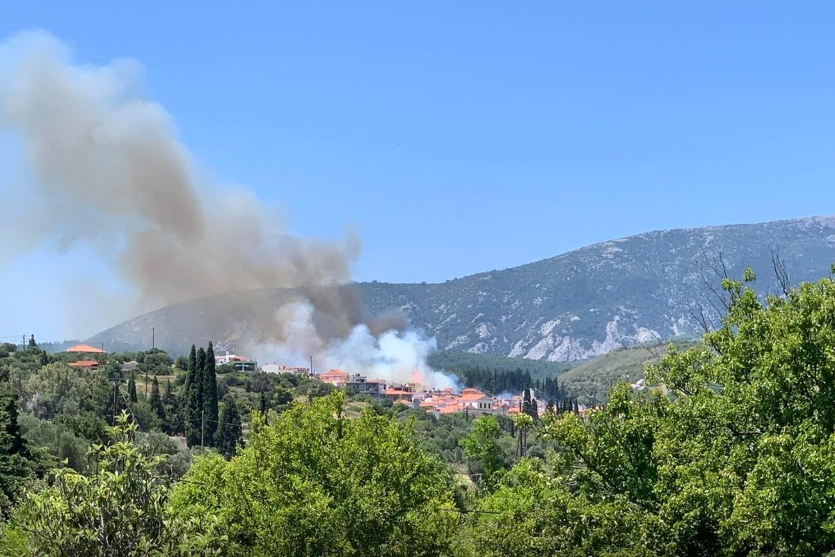 Σάμος: Φωτιά σε δασική έκταση στους Μυτιληνιούς