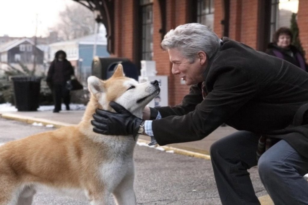Χάτσικο: Ένας αιώνας από τη γέννηση του πιο πιστού σκύλου στον κόσμο