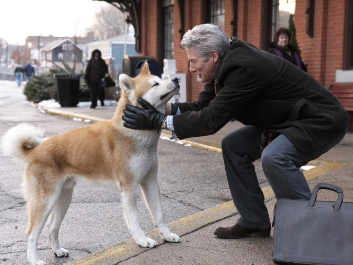 Χάτσικο100 χρόνια από τη γέννηση του πιο πιστού σκύλου στον κόσμο ΤΟ