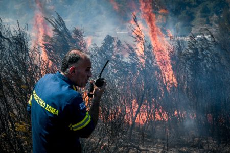 Οι πυροσβέστες καίνε τα δάση για να τα σώσουν!