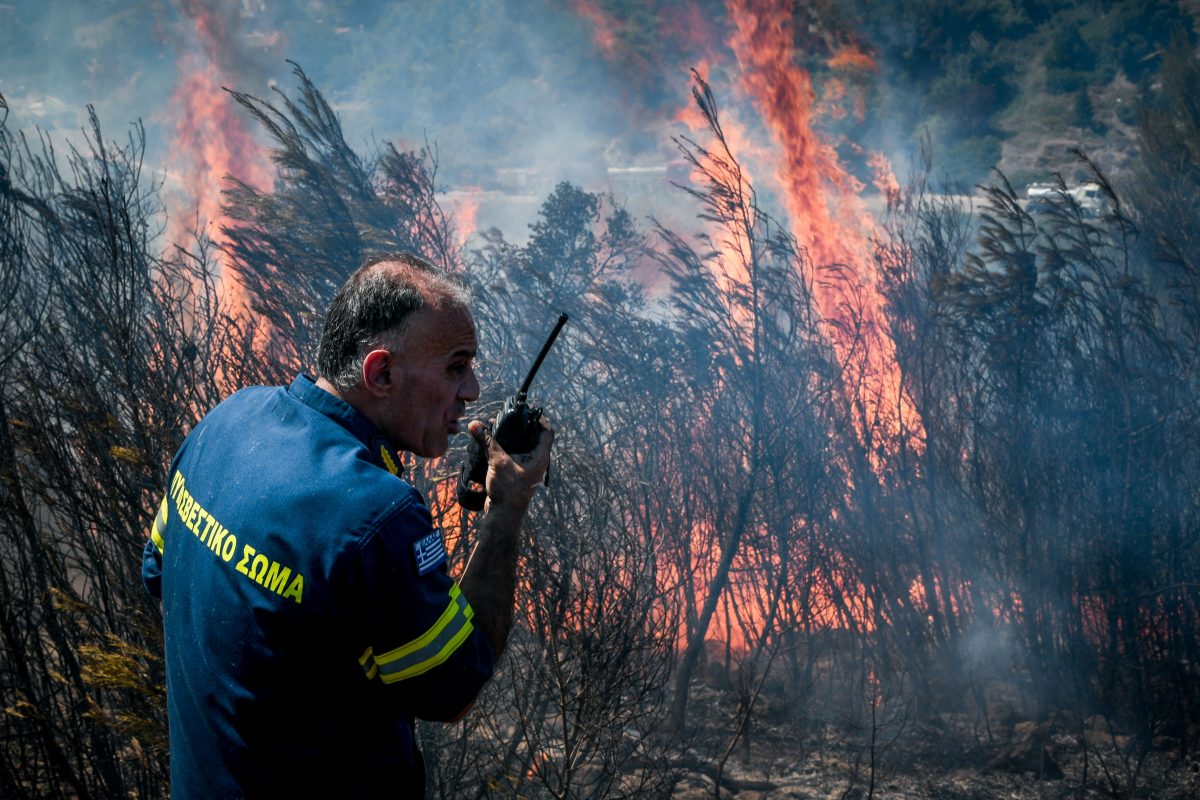 Οι πυροσβέστες καίνε τα δάση για να τα σώσουν!