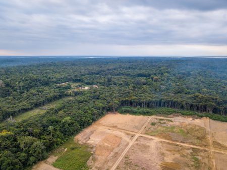 Μειώθηκε κατά 33,6% η αποψίλωση του βραζιλιάνικου τμήματος του τροπικού δάσους του Αμαζονίου