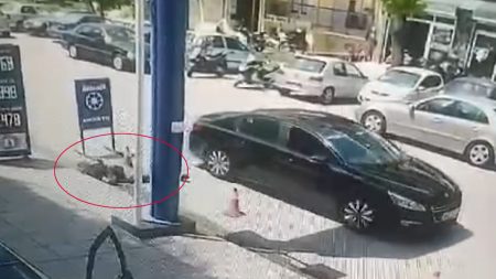 Δολοφονία στη Θεσσαλονίκη: Ταυτοποιήθηκε ο άνδρας που πυροβόλησε τον 50χρονο