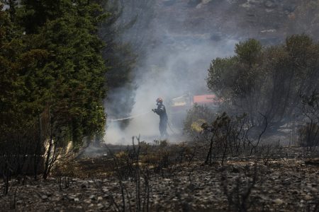 Φωτιά στην Εύβοια: Καλύτερη η εικόνα της φωτιάς – Δεν απειλείται το Μοναστήρι
