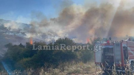 Λαμία: Φωτιά στην περιοχή του Προφήτη Ηλία