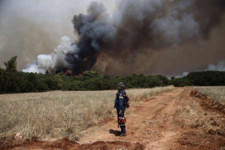 Οι έξι περιφέρειες που κινδυνεύουν με πυρκαγιές