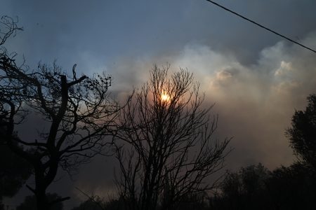 Λέκκας για φωτιές: «Φοβάμαι περιβαλλοντική κατάρρευση της Αττικής»