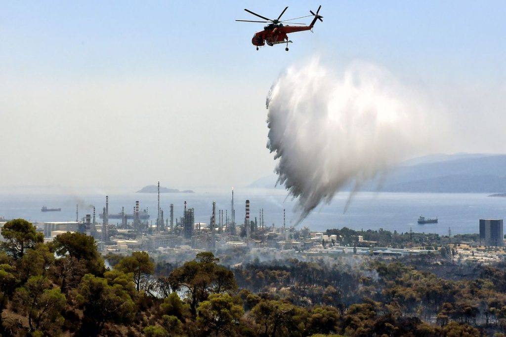 Χάνοντας το δέντρο