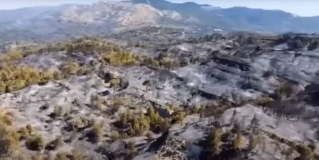 Φωτιά – Ρόδος: Εφιαλτικό βίντεο από τη φωτιά που μετέτρεψε τα δάση σε στάχτη